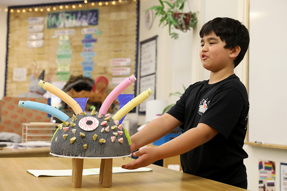 BDS Third Animal Adaptations 7 03.12.26Web